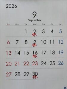 R8.9month.diary